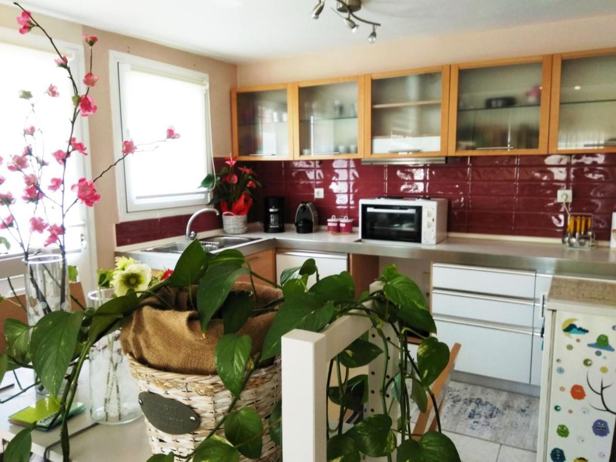 Brilliant House Apartmán Volos
